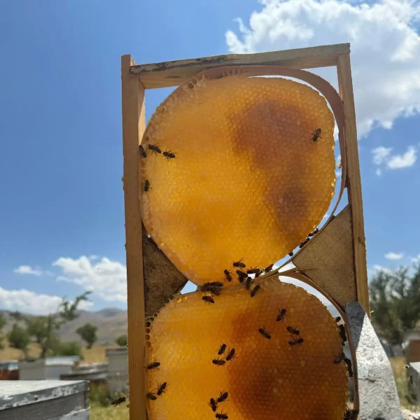 Pervari Doğal Petekli Karakovan Balı 1Kg - Görsel 4
