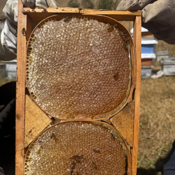 Pervari Doğal Petekli Karakovan Balı 1Kg - Görsel 5